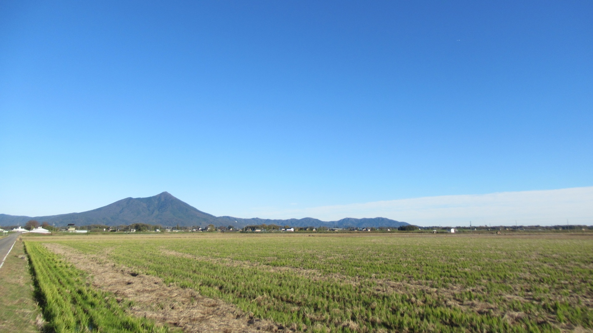 筑波山と田んぼ